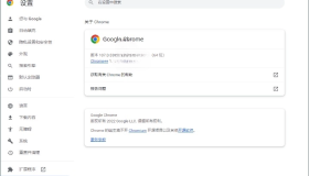 Google Chrome 谷歌浏览器 v126.0.6478.57增强版