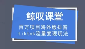 海外版抖音tiktok流量变现玩法