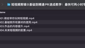 短视频剪辑0基础到精通PR速成教学