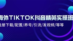 海外TIKTOK抖音精英实操班