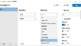 Lossless Scaling v2.9.0绿色版 游戏无损缩放软件