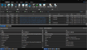 HTTP Debugger v9.9中文特别版 http嗅探器拦截抓包工具