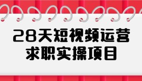 28天短视频运营求职实操项目