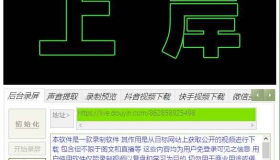 无言电商助手v3.9 抖音快手录屏+无水印视频下载