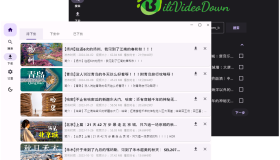 BiliVideoDown：开源B站视频下载器