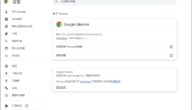 Google Chrome 谷歌浏览器v126.0.6478.127增强版