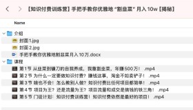 知识付费训练营：手把手教你优雅地“割韭菜”月入10w