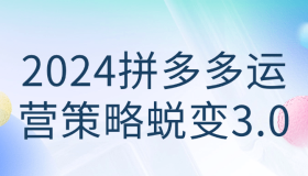 2024拼多多运营策略蜕变3.0