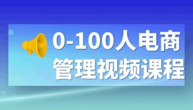 0-100人电商管理视频课程