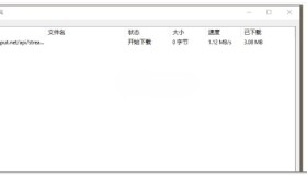 网络视频下载工具v1.0