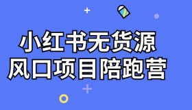 小红书无货源风口项目陪跑营