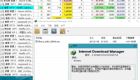 下载利器IDM v6.42.18绿色版