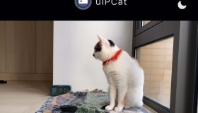 Uipcat：一个可以实时获取摄像头内容的网站