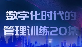 数字化时代的管理训练20集