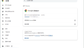 Google Chrome 谷歌浏览器v127.0.6533.120增强版