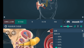 The mechanism of hearing educational VR 3D 人体耳朵v1.27