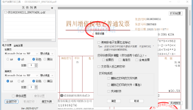 发票闪印v3.0.0 免费电子PDF发票批量打印工具绿色版