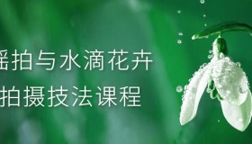 摇拍与水滴花卉拍摄技法课程