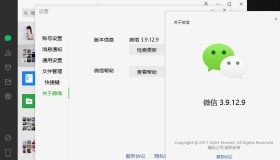 微信Windows版 3.9.12.9 多开&消息防撤回测试版绿色版纯64位