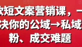 爆款短文案营销课