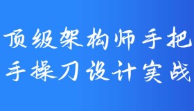 顶级架构师手把手操刀设计实战