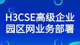 H3CSE高级企业园区网业务部署