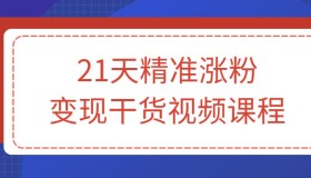 21天精准涨粉变现干货视频课程