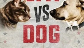 《猫狗大战》Cat vs Dog 纪录片 (2017) 1080