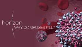 《病毒为何致命》Why Do Viruses Kill 纪录片 (2010) 1080