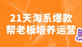 21天淘系爆款帮老板培养运营