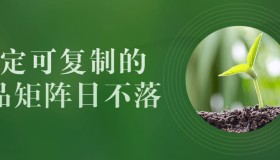 稳定可复制的单品矩阵日不落