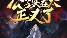 《公子实在太正义了》有声小说 作者：李鸿天 主播：嗨扬 956集完结