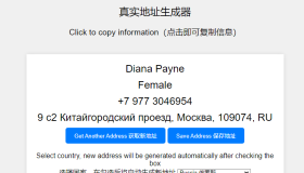 Real-Address-Generator：全球真实地址生成器
