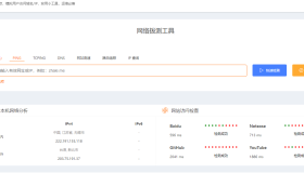 炸了么：在线网络拨测工具