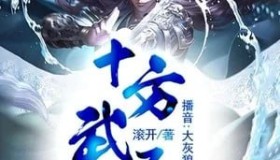 《十方武圣》有声小说 作者：滚开 主播：大灰狼&卡卡 752集完结