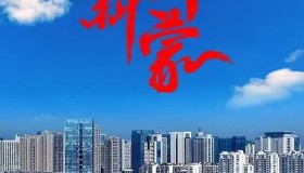 《新沂蒙》纪录片 (2024)