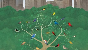 《观鸟者：中央公园效应》纪录片 Birders The Central Park Effect (2012)