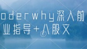 coderwhy深入前端就业指导+八股文