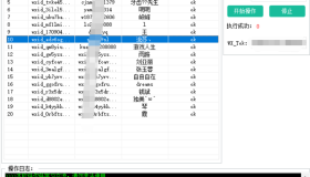 巅峰wxid批量转微信号v1.0