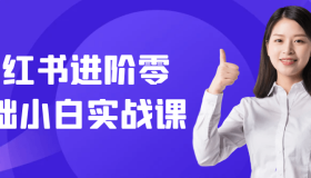 小红书进阶零基础小白实战课