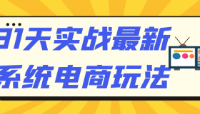 31天实战最新系统电商玩法