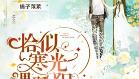 《恰似寒光遇骄阳》有声小说 作者：囧囧有妖 主播：尘萱&蝎子莱莱 902集完结