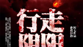 《行走阴阳：道士传奇》有声小说 作者：阿七 主播：有声的紫襟 900集完结