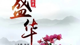 《盛华》有声小说 作者：闲听落花 主播：姝姝 465集完结