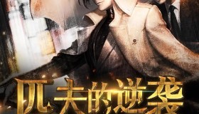 《匹夫的逆袭》有声小说 作者：骁骑校 主播：三十 653集完结