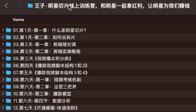 王子明星切片线上训练营