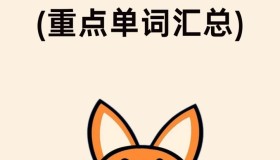 英语启蒙界的天花板little fox分级动画大合集