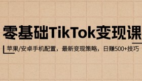 零基础TikTok变现课