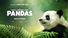 《大熊猫》纪录片 Pandas (2018)