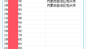 手机归属地批量查询工具v1.0